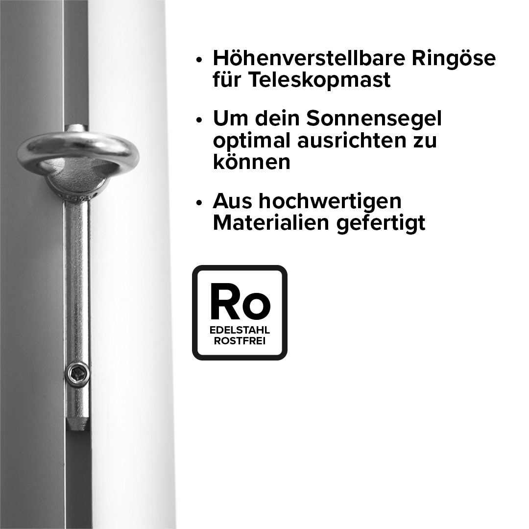 00E13001335_Ringoese_usp Ringöse für Nutprofil-Masten