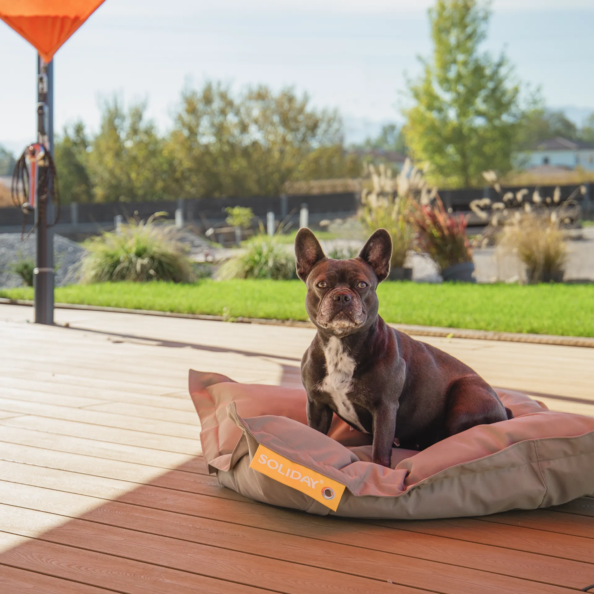 Hundekissen_Outdoormoebel_Referenzen_1