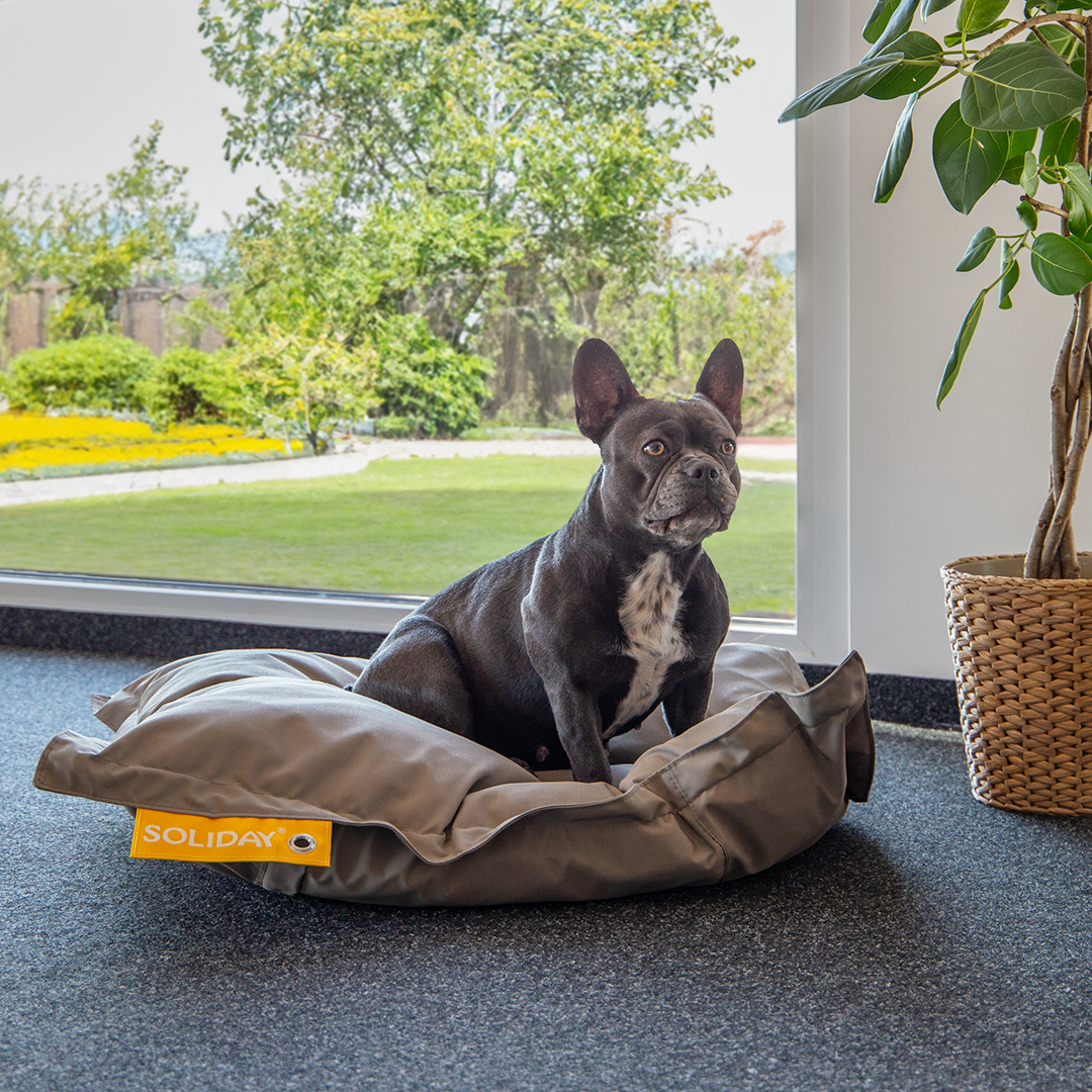 Hundekissen 110 x 80cm