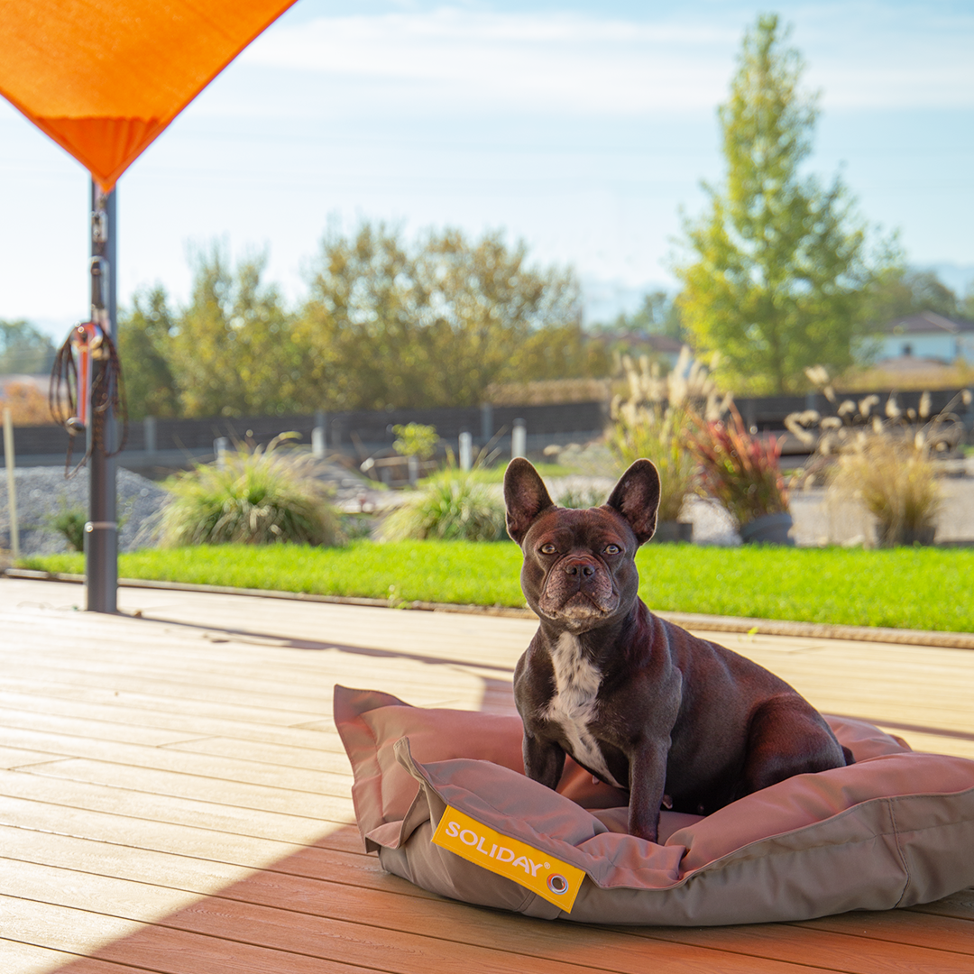 Hundekissen 110 x 80cm