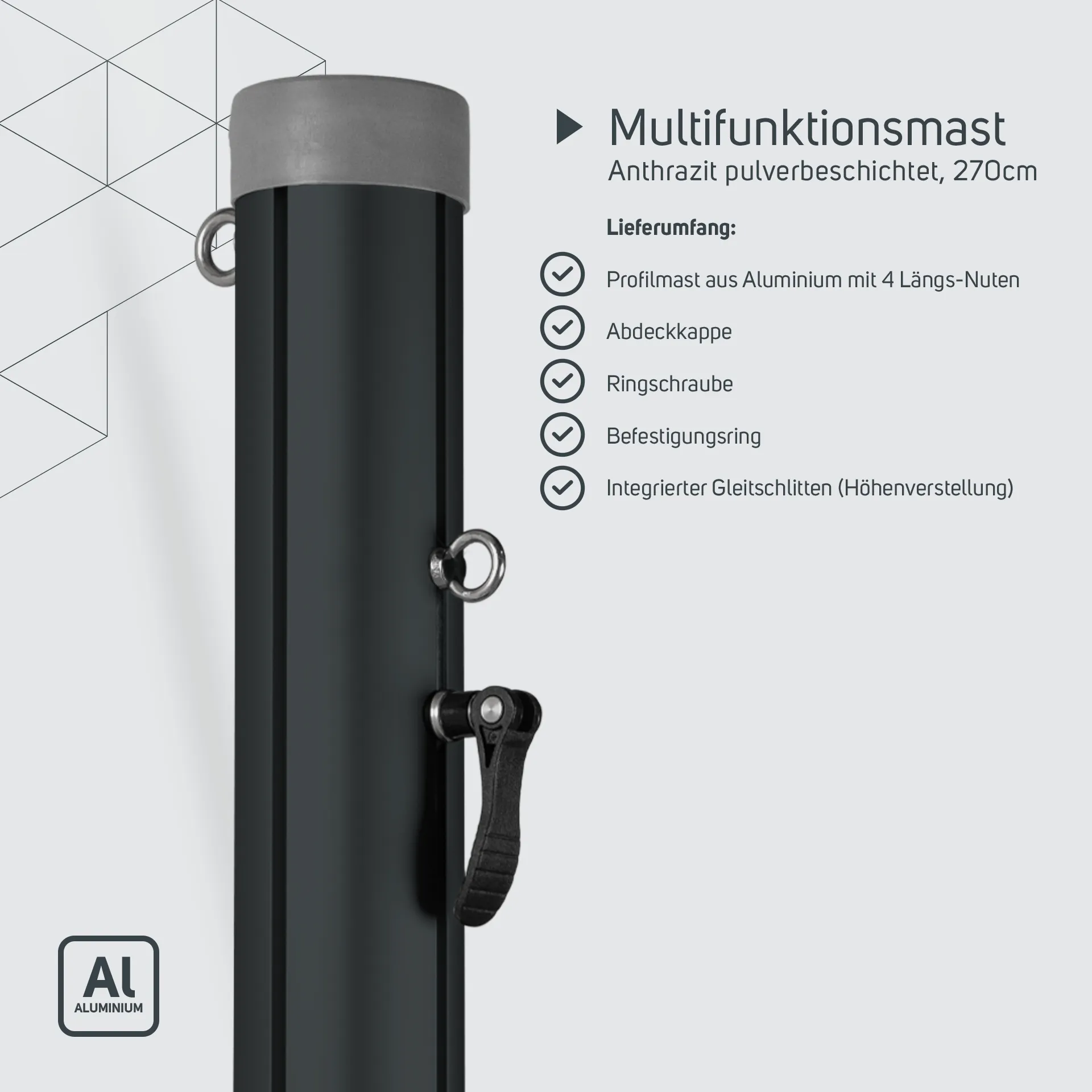 Multifunktionsmast