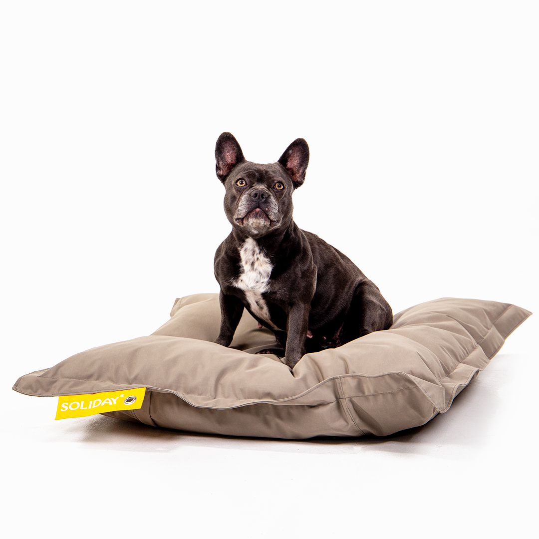 Hundekissen 110 x 80cm