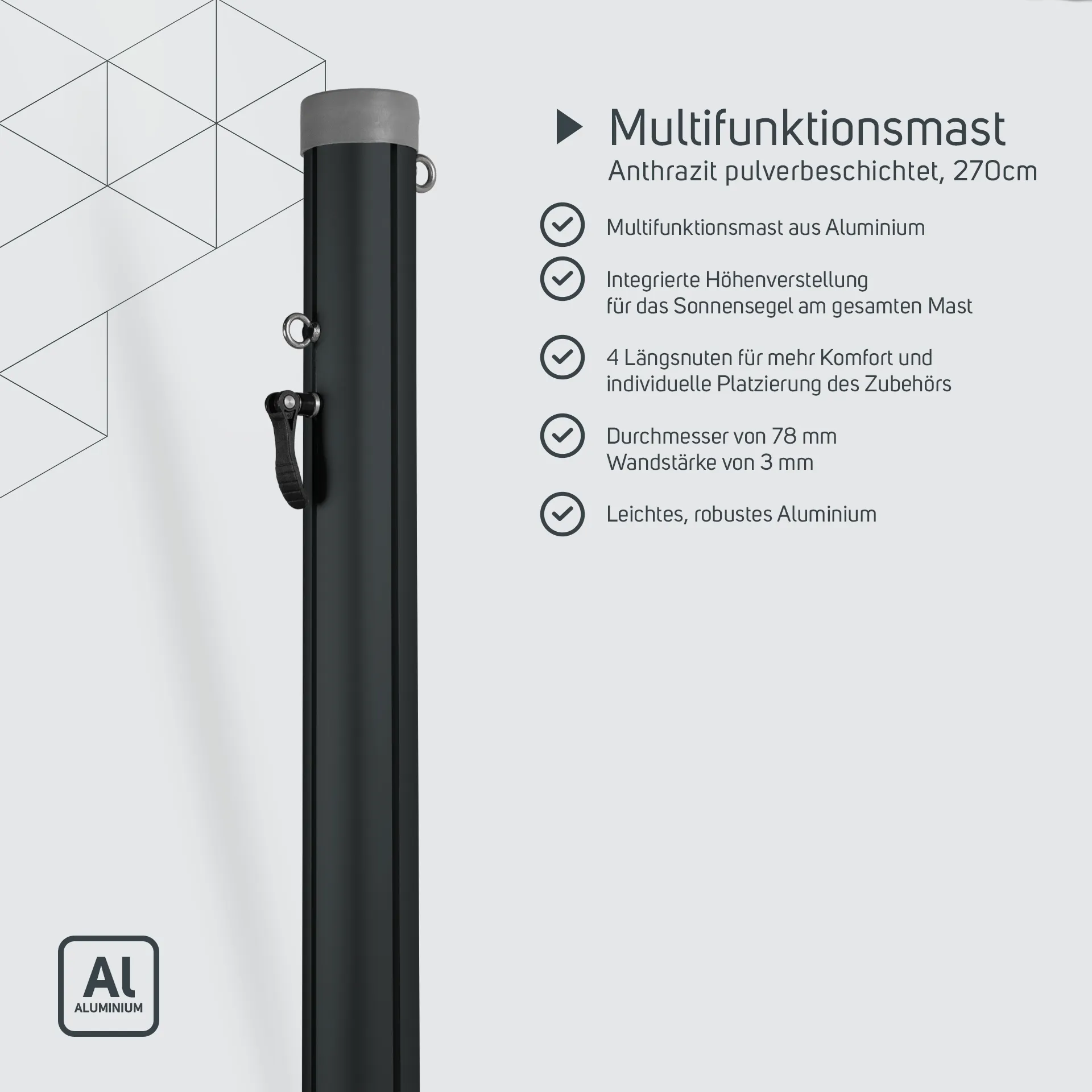 Multifunktionsmast