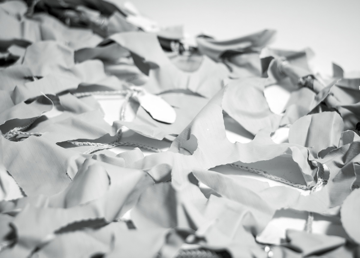 Chilloutsail rose cut / Standard